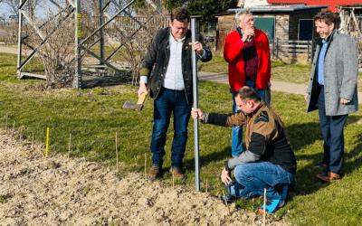 Pflanzprojekt für Nachhaltigkeit in Darlingerode