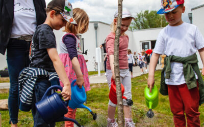 Magdeburger Wohnpark pflanzt Kirschbaum zum Einjährigen